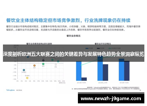 深度剖析欧洲五大联赛之间的关键差异与发展特色趋势全景洞察纵览