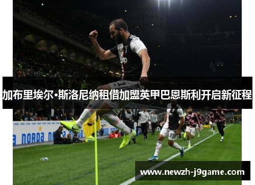 加布里埃尔·斯洛尼纳租借加盟英甲巴恩斯利开启新征程