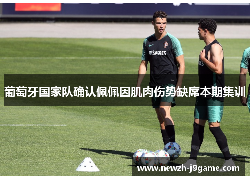 葡萄牙国家队确认佩佩因肌肉伤势缺席本期集训 葡萄牙国家队确认佩佩因肌肉伤势缺席本期集训